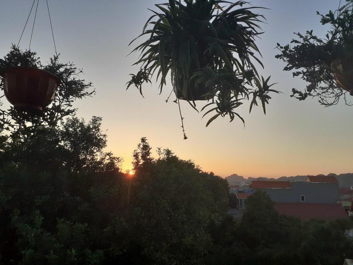 Tam Coc Sunset Homestay Ninh Binh Esterno foto
